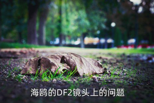  海鸥的DF2镜头上的问题