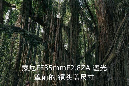 索尼FE35mmF2.8ZA 遮光罩前的 镜头盖尺寸