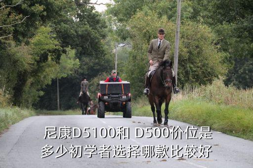  尼康D5100和 D500价位是多少初学者选择哪款比较好