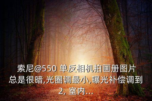  索尼@550 单反相机拍画册图片总是很暗,光圈调最小,曝光补偿调到2, 室内...