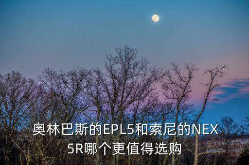  奥林巴斯的EPL5和索尼的NEX5R哪个更值得选购