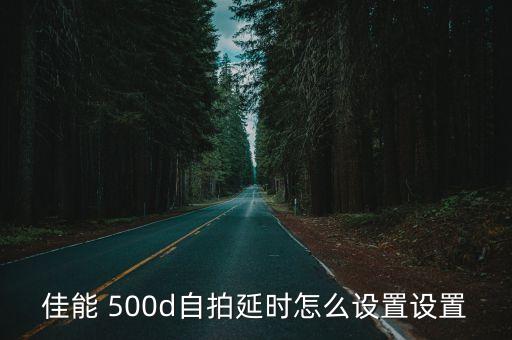 佳能 500d自拍延时怎么设置设置