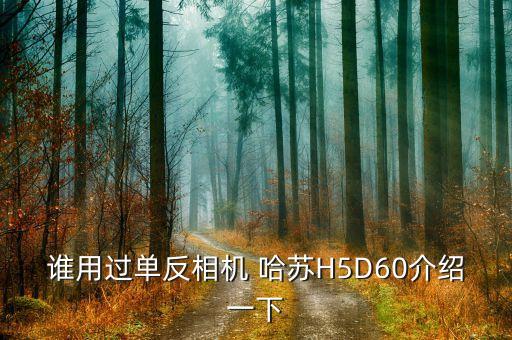 谁用过单反相机 哈苏H5D60介绍一下