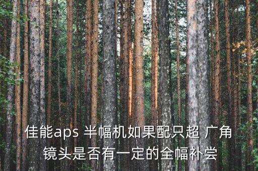 佳能aps 半幅机如果配只超 广角 镜头是否有一定的全幅补尝