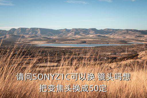 请问SONYZ1C可以换 镜头吗想把变焦头换成50定