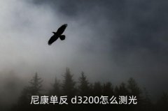 d3200人像技巧,拍人像光用完也要保证胶片不会烫