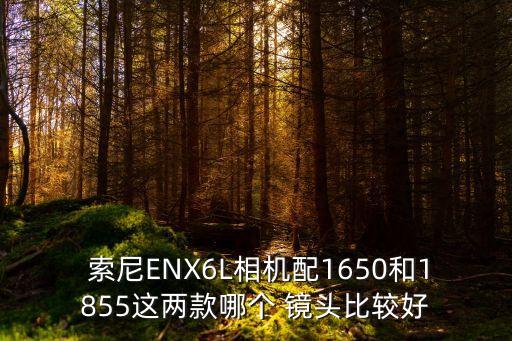  索尼ENX6L相机配1650和1855这两款哪个 镜头比较好