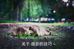 <b>特效摄影技巧,如何拉近与模特距离展现最真实自</b>