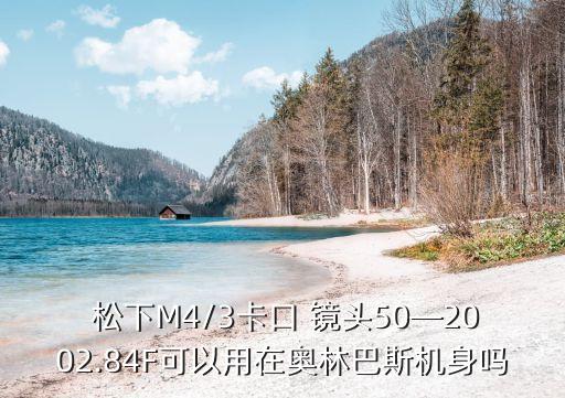  松下M4/3卡口 镜头50—2002.84F可以用在奥林巴斯机身吗