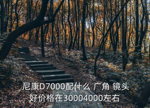  尼康D7000配什么 广角 镜头好价格在30004000左右