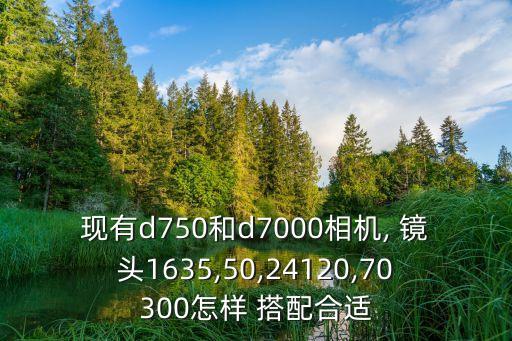 现有d750和d7000相机, 镜头1635,50,24120,70300怎样 搭配合适