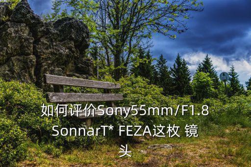 如何评价Sony55mm/F1.8SonnarT* FEZA这枚 镜头