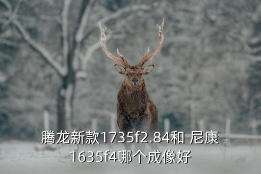 腾龙新款1735f2.84和 尼康1635f4哪个成像好