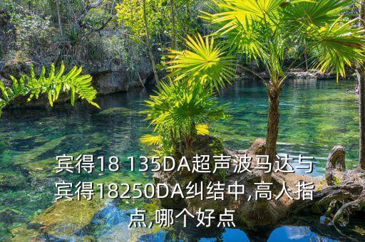  宾得18 135DA超声波马达与 宾得18250DA纠结中,高人指点,哪个好点