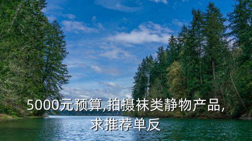 5000元预算,拍摄袜类静物产品,求推荐单反