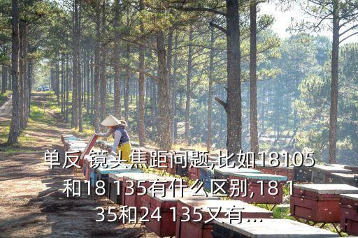 单反 镜头焦距问题,比如18105和18 135有什么区别,18 135和24 135又有...