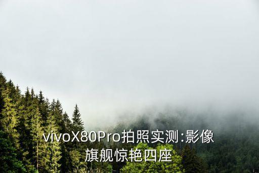 vivoX80Pro拍照实测:影像旗舰惊艳四座