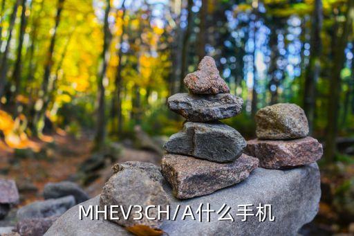 MHEV3CH/A什么手机