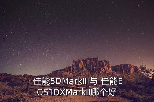  佳能5DMarkIII与 佳能EOS1DXMarkII哪个好