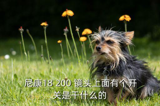  尼康18 200 镜头上面有个开关是干什么的