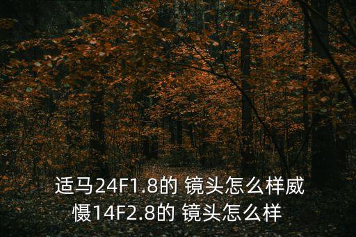  适马24F1.8的 镜头怎么样威慑14F2.8的 镜头怎么样