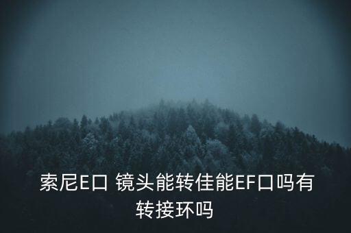  索尼E口 镜头能转佳能EF口吗有转接环吗