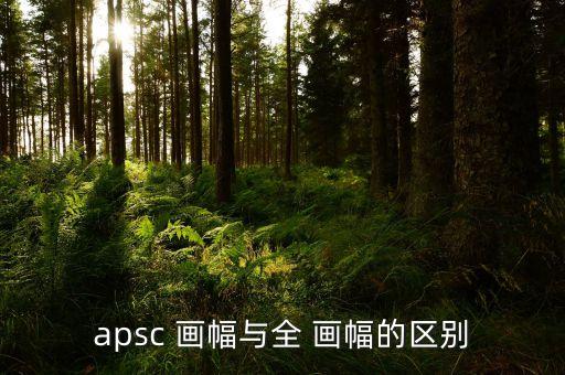 apsc 画幅与全 画幅的区别