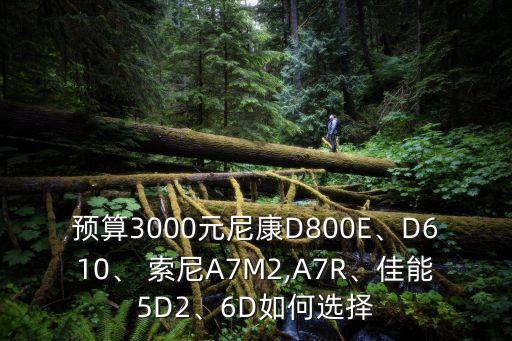 预算3000元尼康D800E、D610、 索尼A7M2,A7R、佳能5D2、6D如何选择