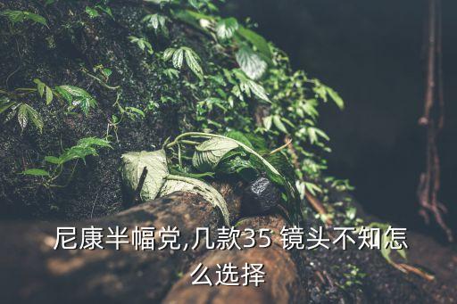  尼康半幅党,几款35 镜头不知怎么选择