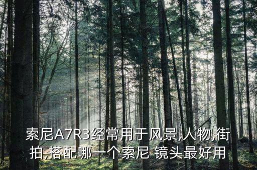 索尼A7R3经常用于风景,人物,街拍,搭配哪一个索尼 镜头最好用