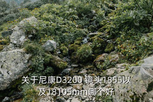 关于尼康D3200 镜头1855以及18105mm哪个好