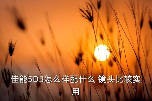 佳能5D3怎么样配什么 镜头比较实用