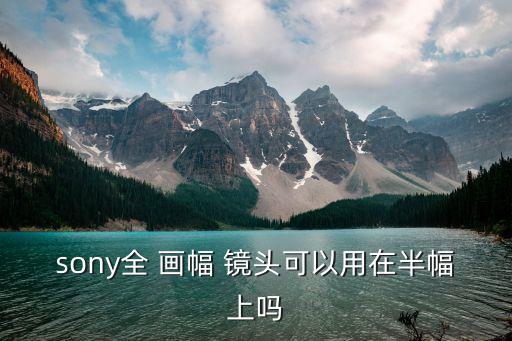 sony全 画幅 镜头可以用在半幅上吗