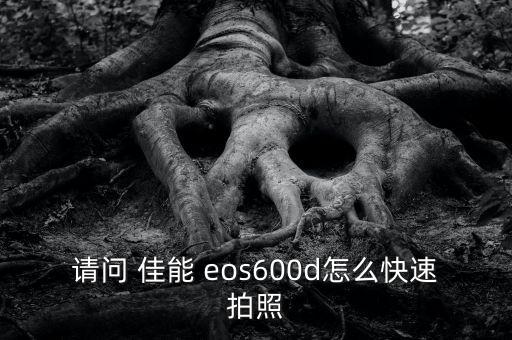 请问 佳能 eos600d怎么快速拍照