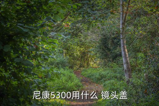  尼康5300用什么 镜头盖