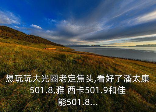 想玩玩大光圈老定焦头,看好了潘太康501.8,雅 西卡501.9和佳能501.8...