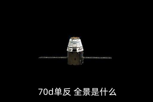  70d单反 全景是什么