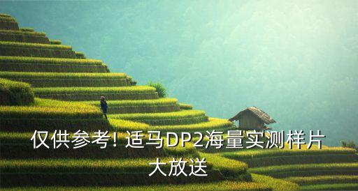 仅供参考! 适马DP2海量实测样片大放送