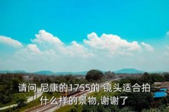 尼康17一55镜头