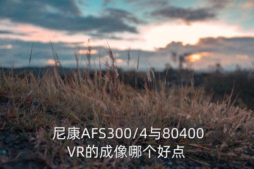  尼康AFS300/4与80400VR的成像哪个好点