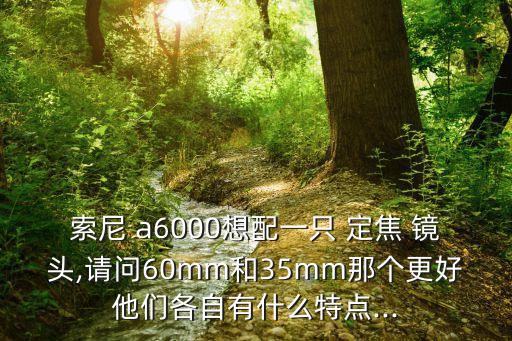 索尼 a6000想配一只 定焦 镜头,请问60mm和35mm那个更好他们各自有什么特点...