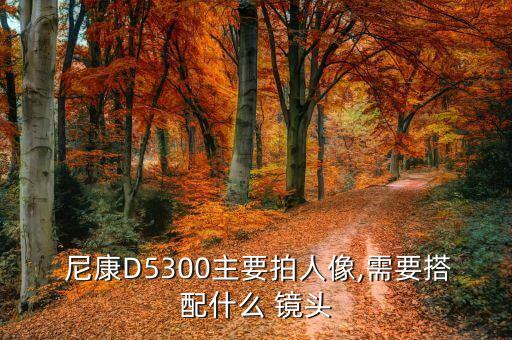  尼康D5300主要拍人像,需要搭配什么 镜头