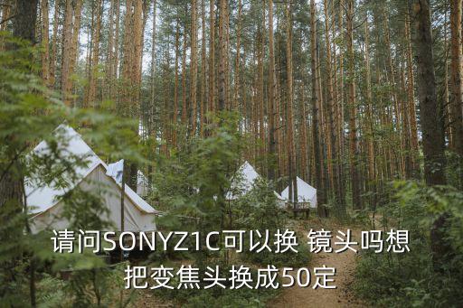 请问SONYZ1C可以换 镜头吗想把变焦头换成50定