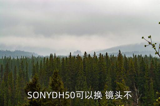 SONYDH50可以换 镜头不