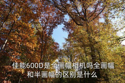  佳能600D是全画幅相机吗全画幅和半画幅的区别是什么