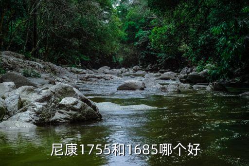  尼康1755和1685哪个好