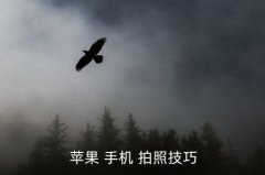 苹果手机拍照美食技巧,苹果手机拍照攻略!全景相