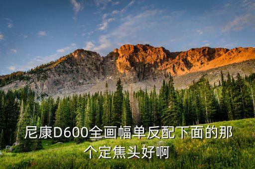  尼康D600全画幅单反配下面的那个定焦头好啊