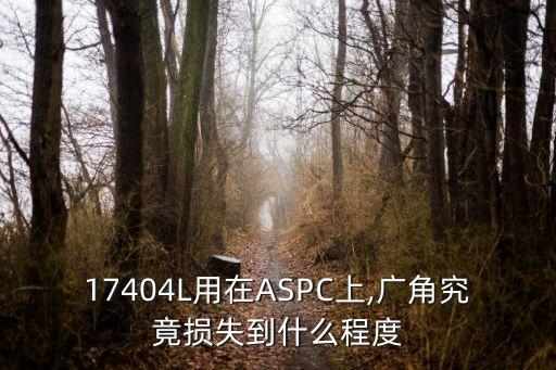 17404L用在ASPC上,广角究竟损失到什么程度