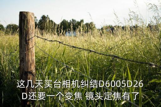 这几天买台相机纠结D6005D26D还要一个变焦 镜头定焦有了